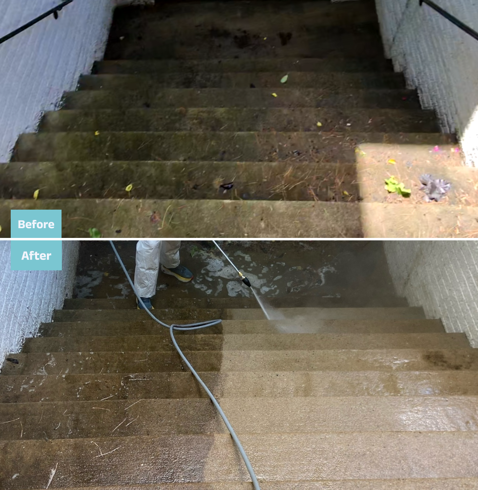 Elite Soft Wash driveway transformation