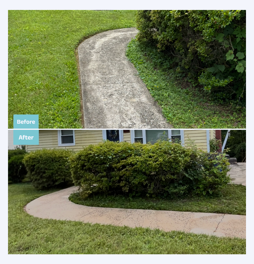 Elite Soft Wash driveway cleaning results
